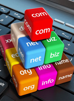Domain+Hosting